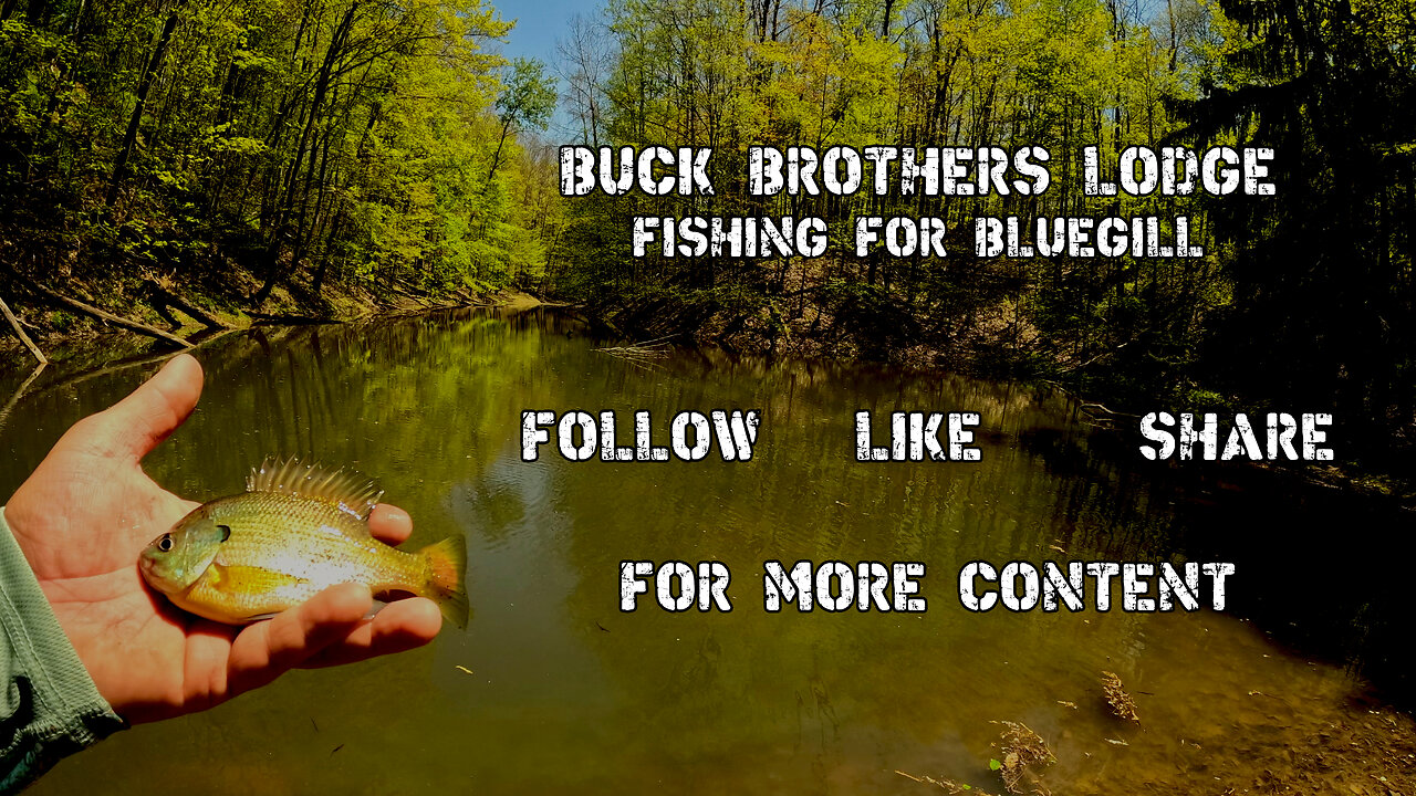 Fishing For Bluegill