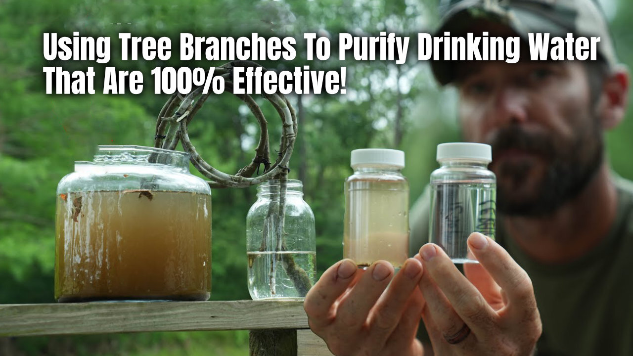 Using Tree Branches To Purify Drinking Water That Are 100% Effective!