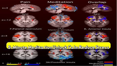5-Minute Meditation: Unlock Calm & Reduce Stress #meditation #stressrelief #mindfulness