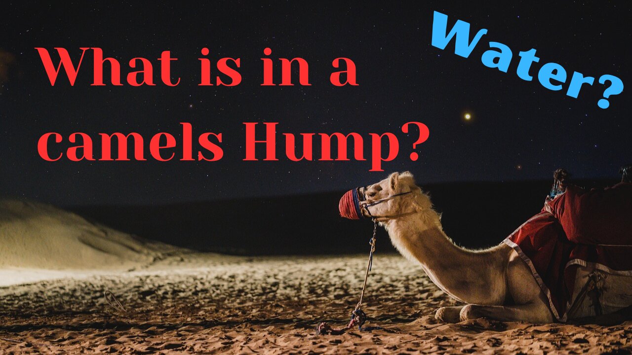 General Knowledge Part 3