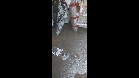 snow