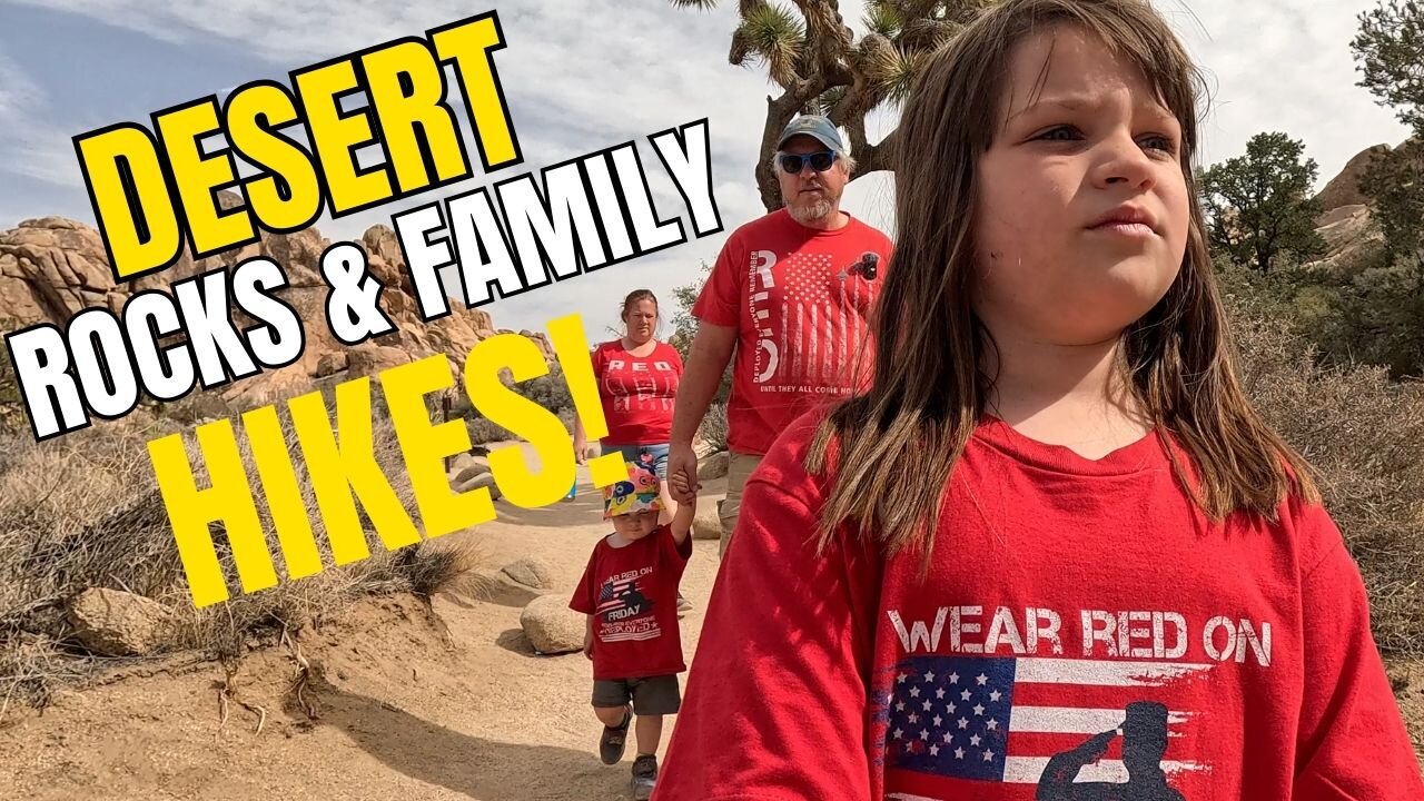 Can You Do Joshua Tree in One Day? (With Kids!)