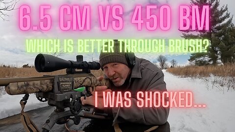 Which is the better "brush gun"? 6.5 Creedmoor vs 450 Bushmaster