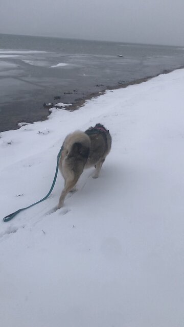 Monday March 24, If you want to be my follower….