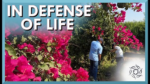 In Defense of Life