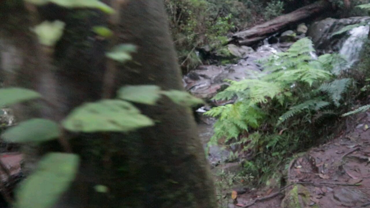 A Rocky Stream With Tree Trunk