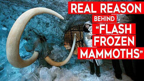 Flash-Frozen Mammoths and Their Buttercups - What Killed the Woolly Mammoth?
