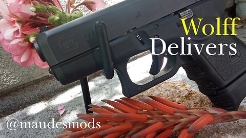 Wolff Guiderod/Spring Update