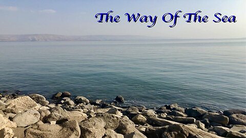 The Way of The Sea
