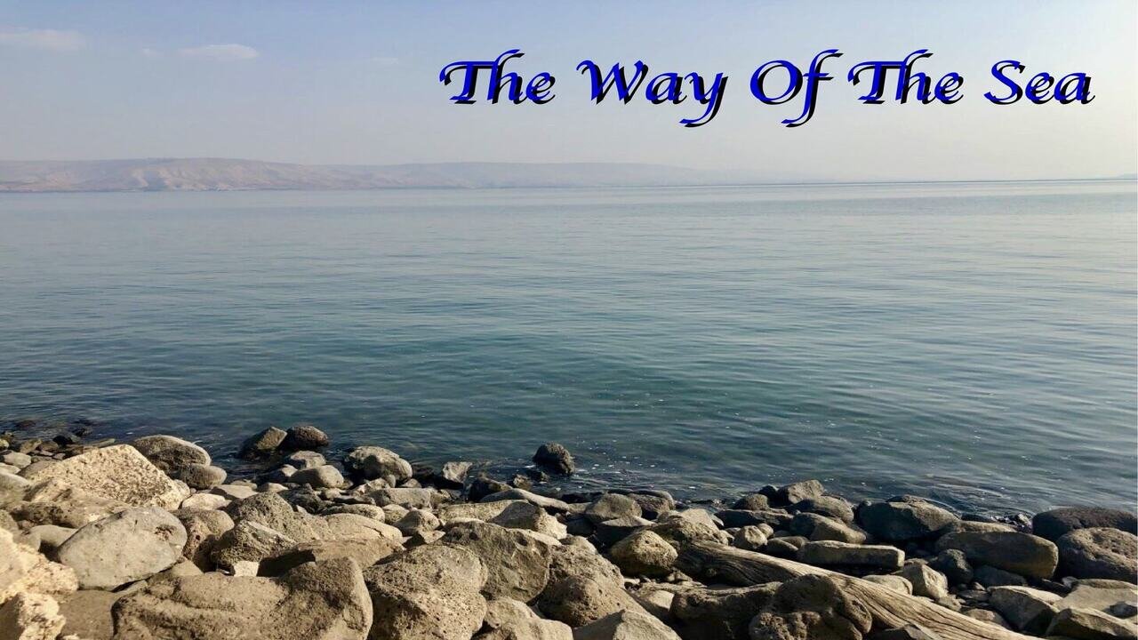The Way of The Sea