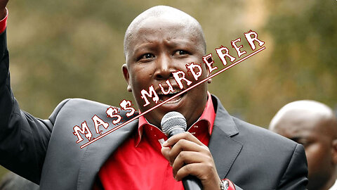 Just Who Is Julius Malema?