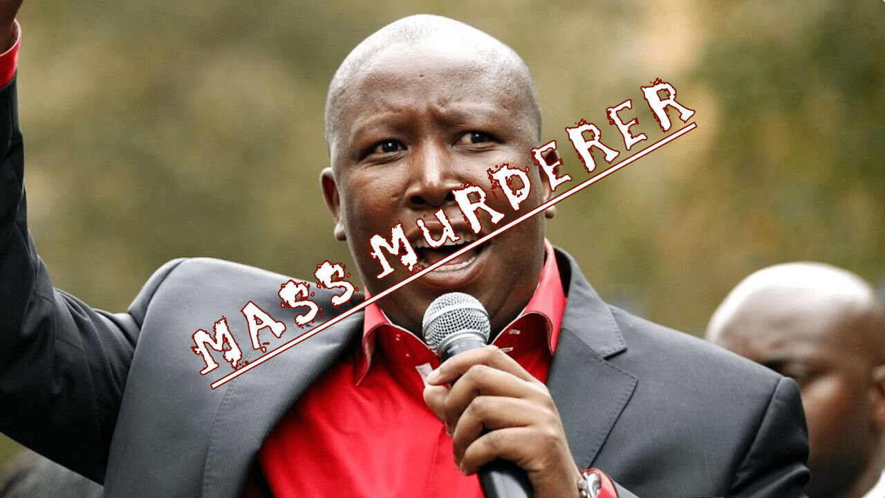 Just Who Is Julius Malema?
