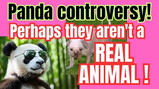 The more you look at Pandas... the more suspicious they become!