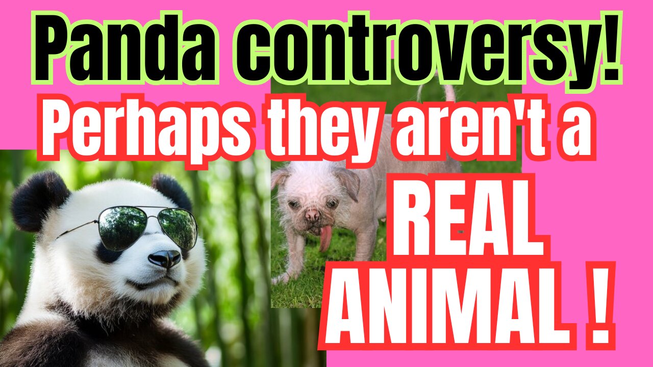 The more you look at Pandas... the more suspicious they become!