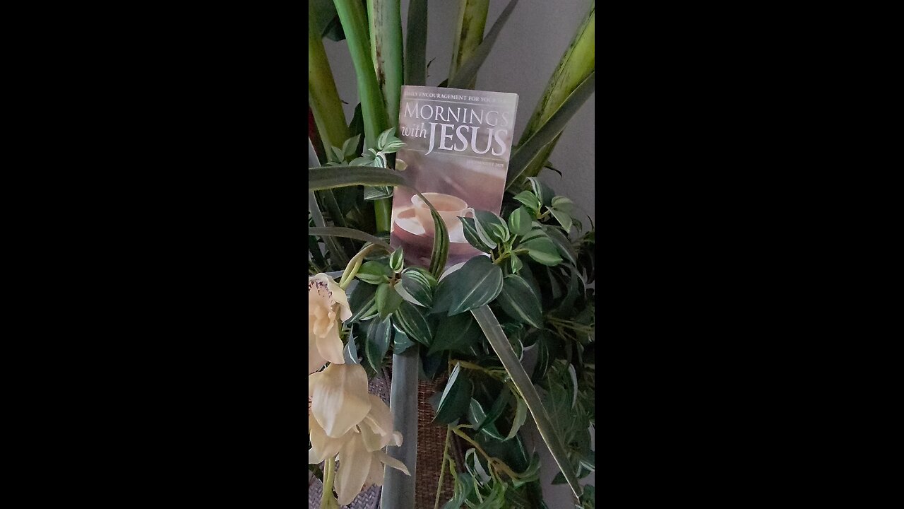 Daily Burst of Joy