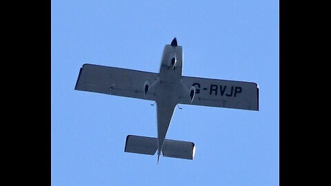 WINGED FLYING MONKEYS GALORE