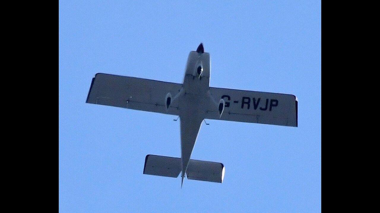 WINGED FLYING MONKEYS GALORE