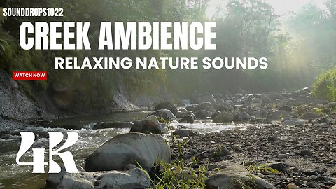 10 Minutes of Creek Ambience : Relaxing Nature Sounds