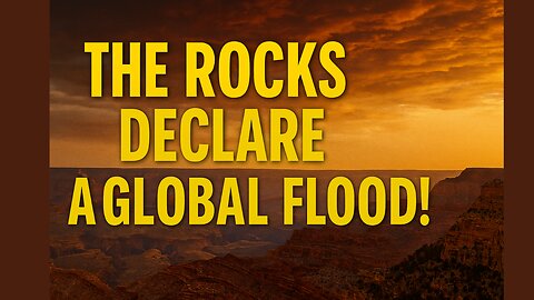 The Rocks Declare A Global Flood! Global Flood Evidence You CAN’T Ignore!