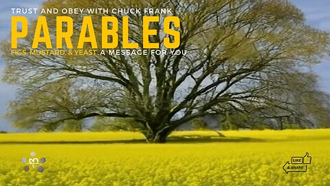 Hearts, Spies, and Seeds: A Journey Through Jesus' Parables