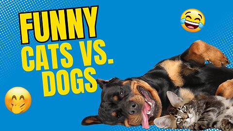 Cats Vs. Dogs Who Will WIn? You Will! Cute & Fun Cats and Dogs to Make Your Day!