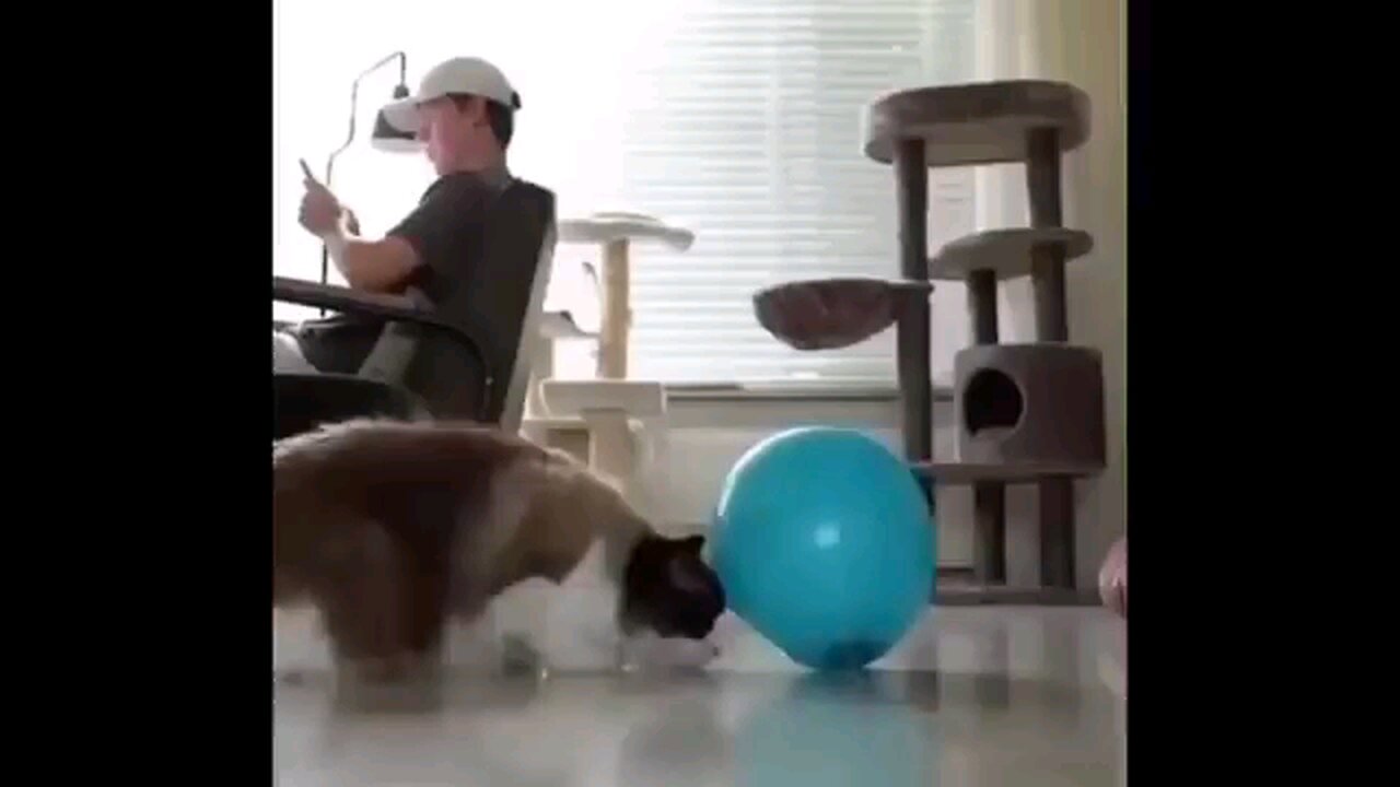 memes I forgot about