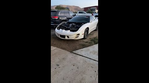 1000hp ls