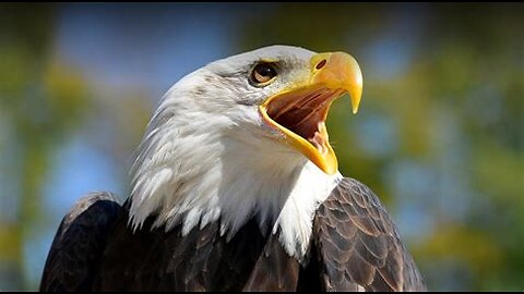 Eagles - Heartache Tonight