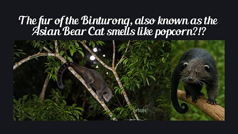 Fun Fact for June 27th 2025 Pt 1