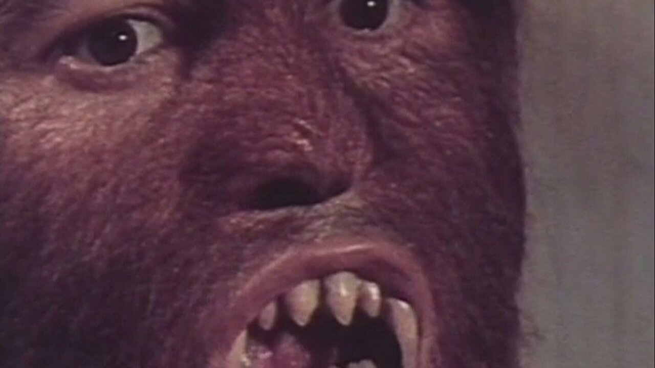 Fury of the Wolfman-Paul Naschy-1972 IMDB 3.8/10