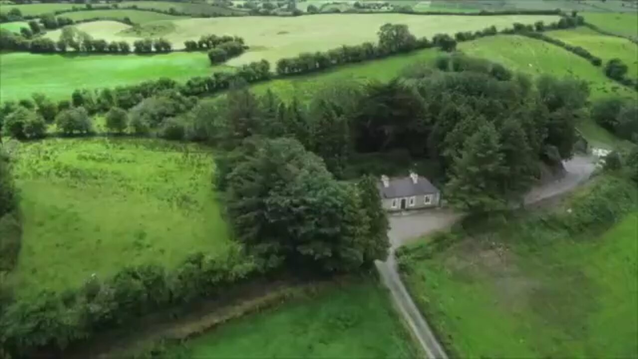Irish ☘️ beef 🥩 💪💪🏻💪🏿check it out!
