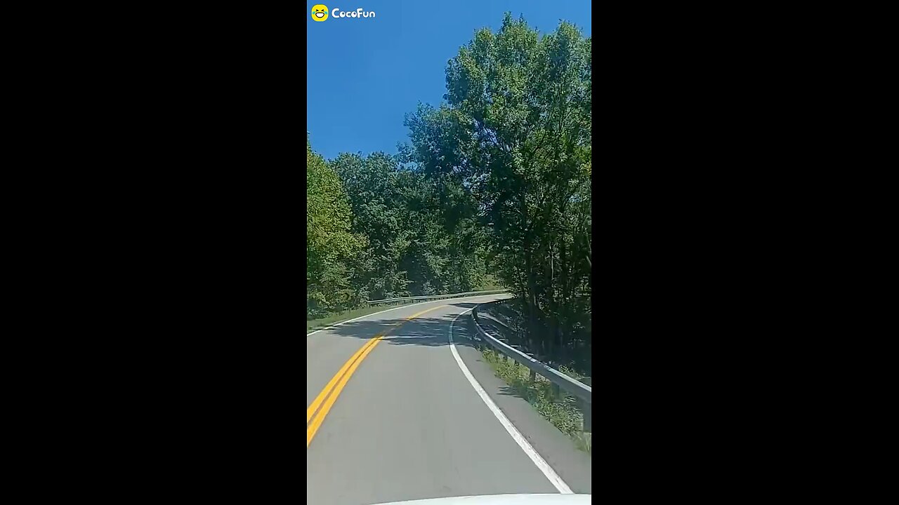 See Rock City
