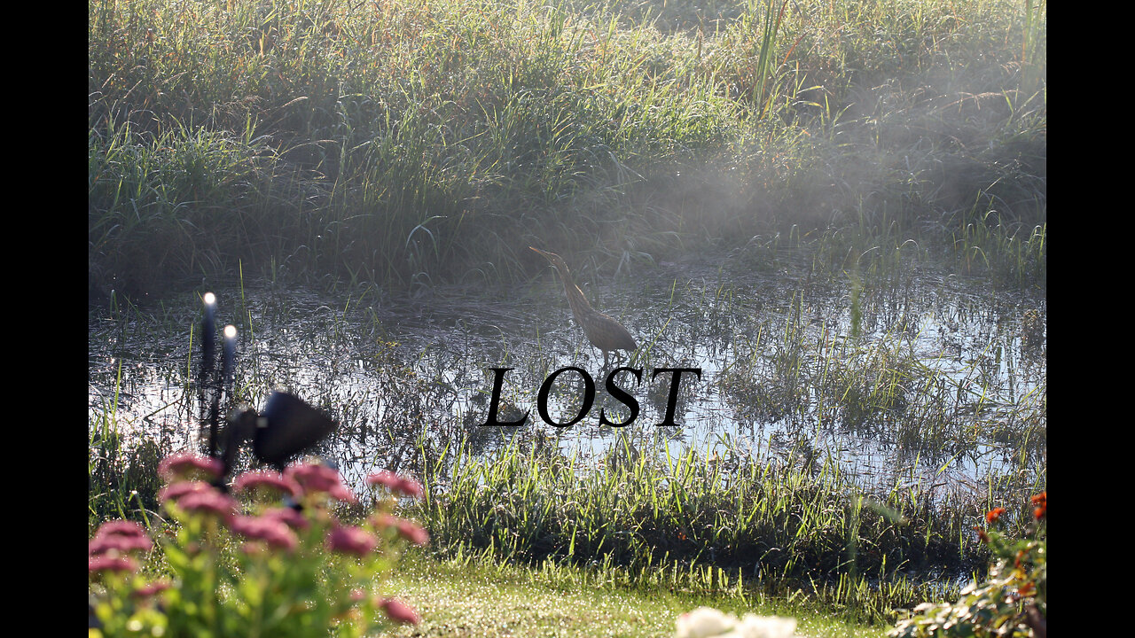 He Came To Save The Lost