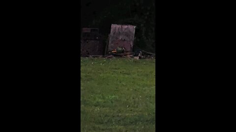 Sunset Watermelon Carving with the Pinty PCP