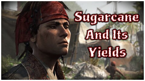 Assassin's Creed IV: Black Flag - Sugarcane And Its Yields