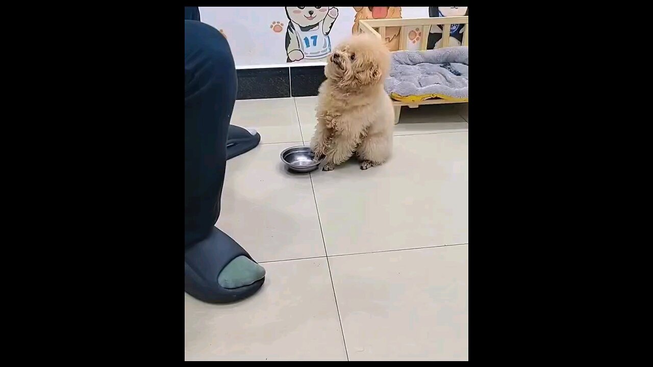 खाना दे दो भई