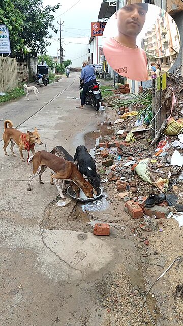 jivdaya mehsana suvichar jain stavan jain suvichar #music #song #live #devotional