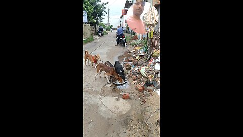 jivdaya mehsana suvichar jain stavan jain suvichar #music #song #live #devotional