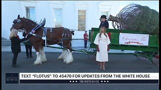 First Lady Melania Trump Welcomes The White House Christmas Tree