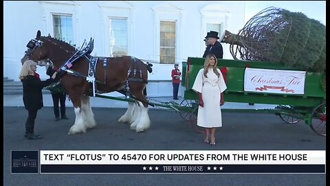 First Lady Melania Trump Welcomes The White House Christmas Tree