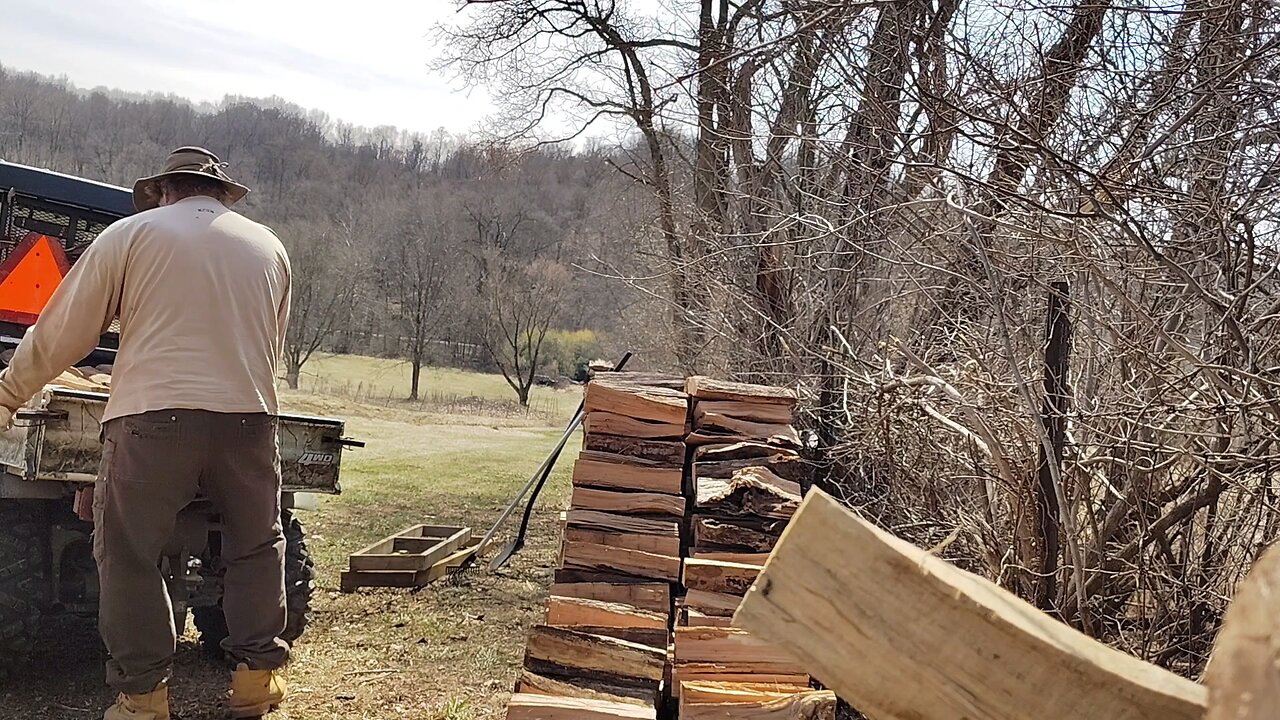 Stacking firewood for Robbie