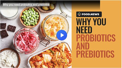 Why you need probiotics and prebiotics