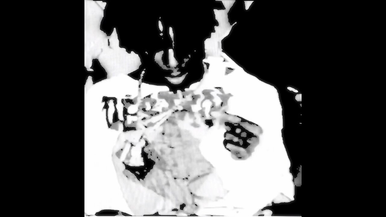 PLAYBOI CARTI - DROPPED OUT