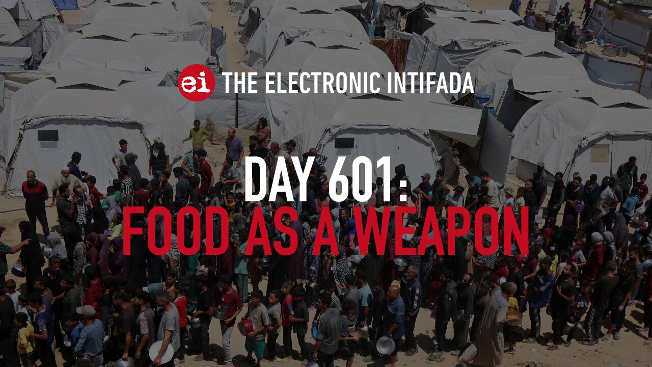 Breaking news and analysis on day 601 of the Gaza genocide | The Electronic Intifada
