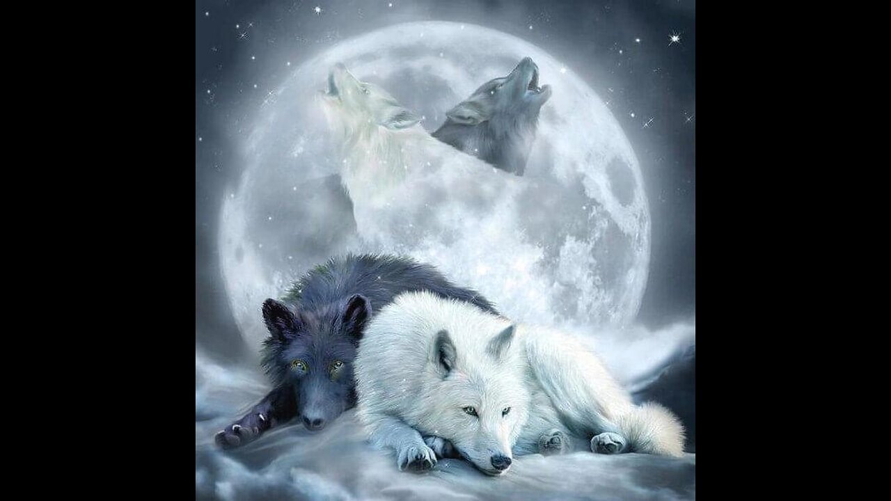 CoD: Warzone 04/22/2025 WDW