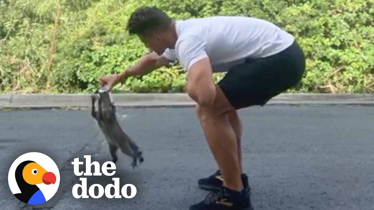 Guy Rescues Tiny Raccoon Who Got His Head Stuck In A Can | The Dodo
