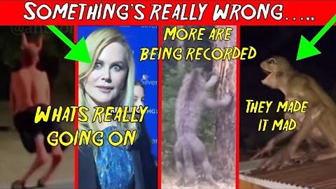 👽️I COULDN’T SLEEP AFTER WATCHING THESE CLIPS FREAKED ME OUT