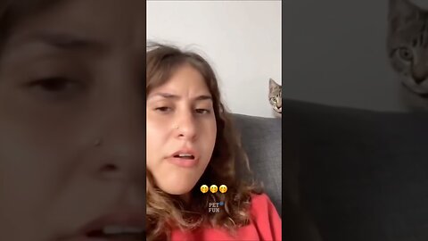 Funny Animals #funnyanimals #animals #pets #shorts