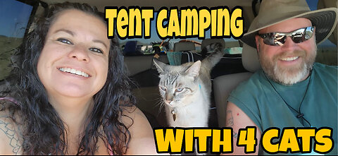 Pre-Upload Summer of 2024-ten camping with 4 cats