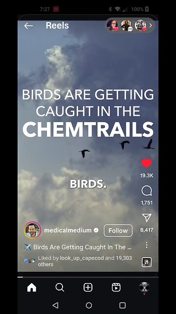 Chemtrails Kill Birds